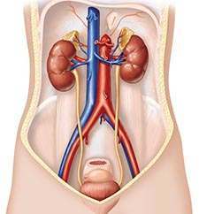 Doctor Formulation